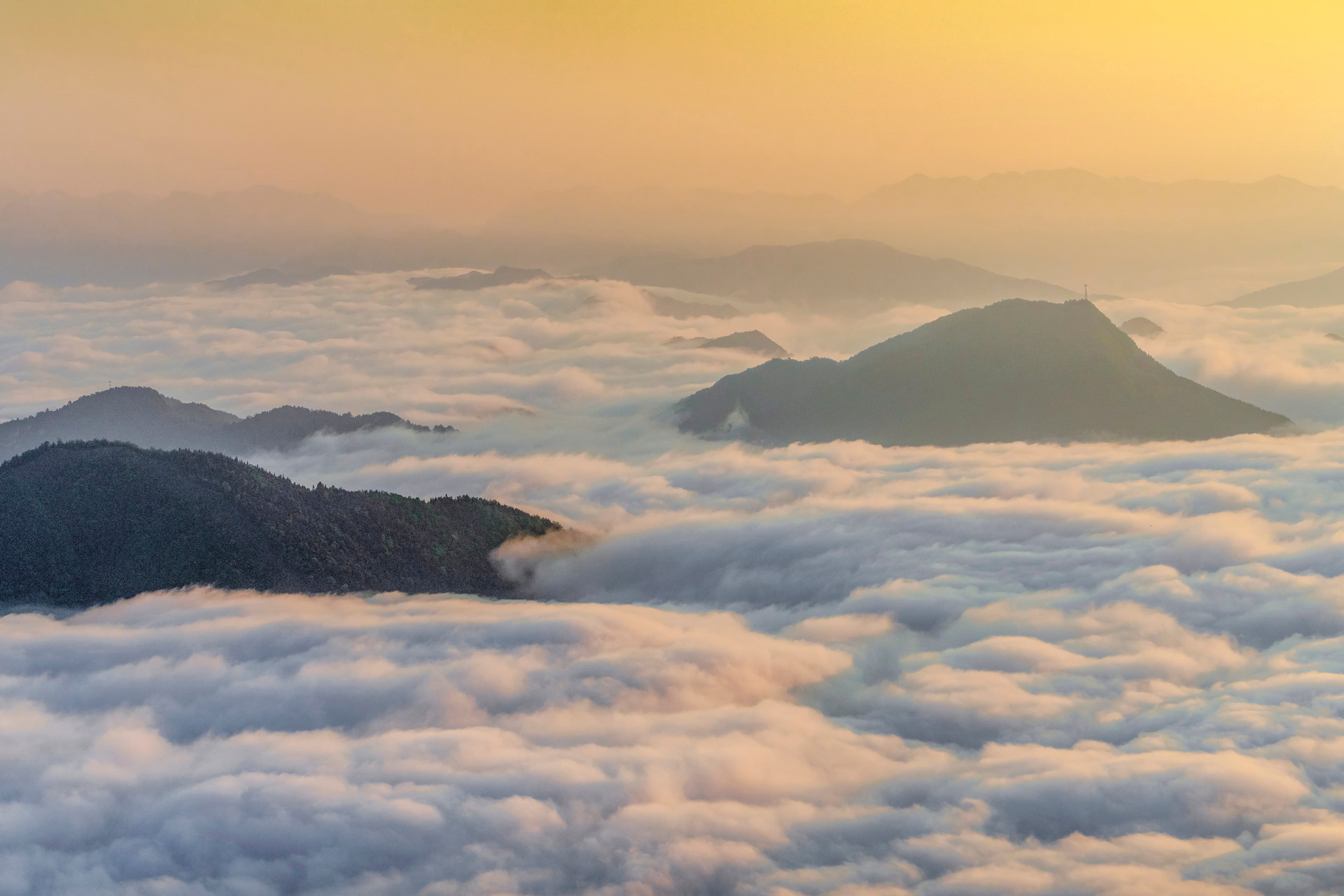 Typecho博客忘记后台登录密码解决办法