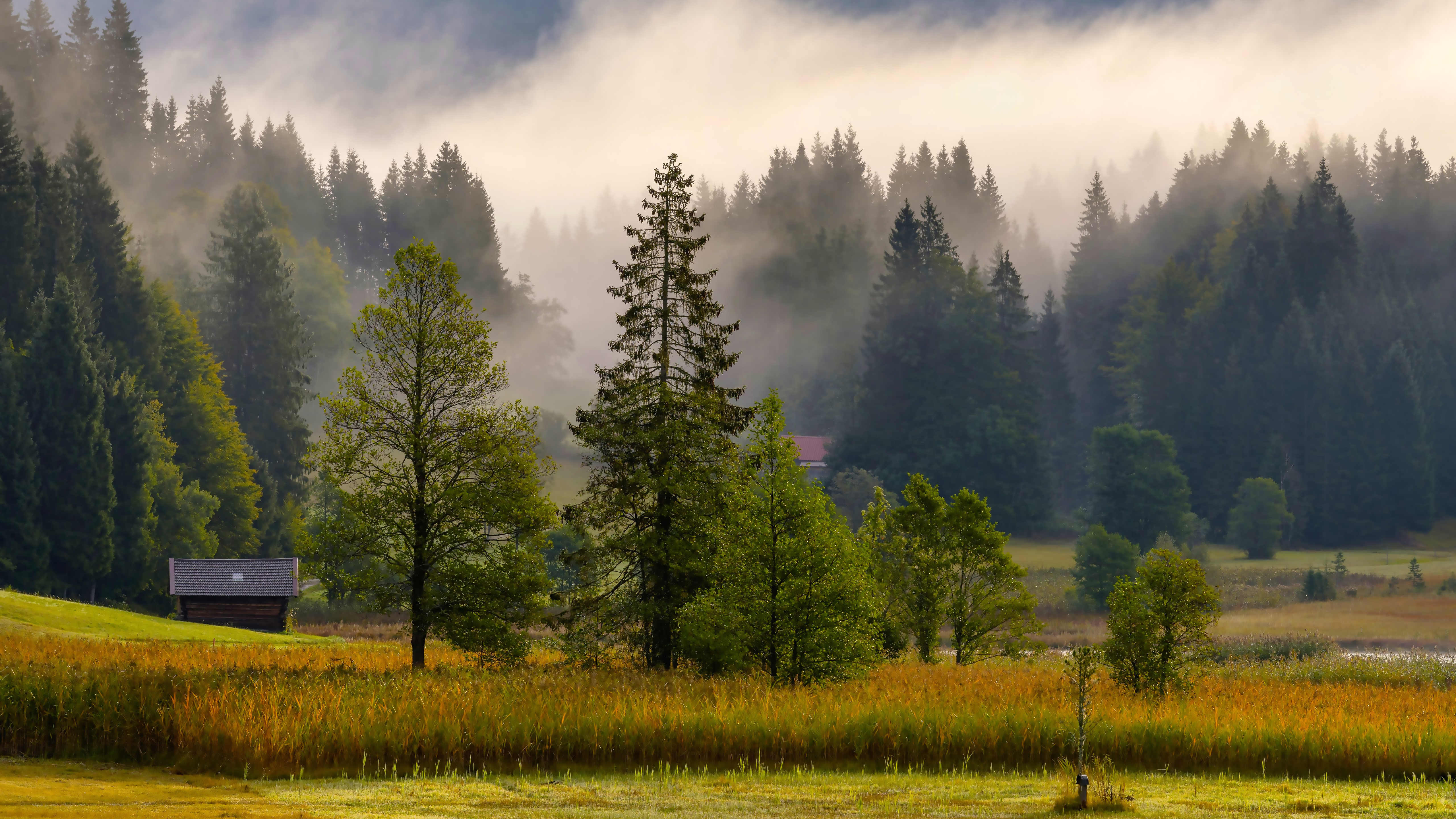 波风水门个人秀