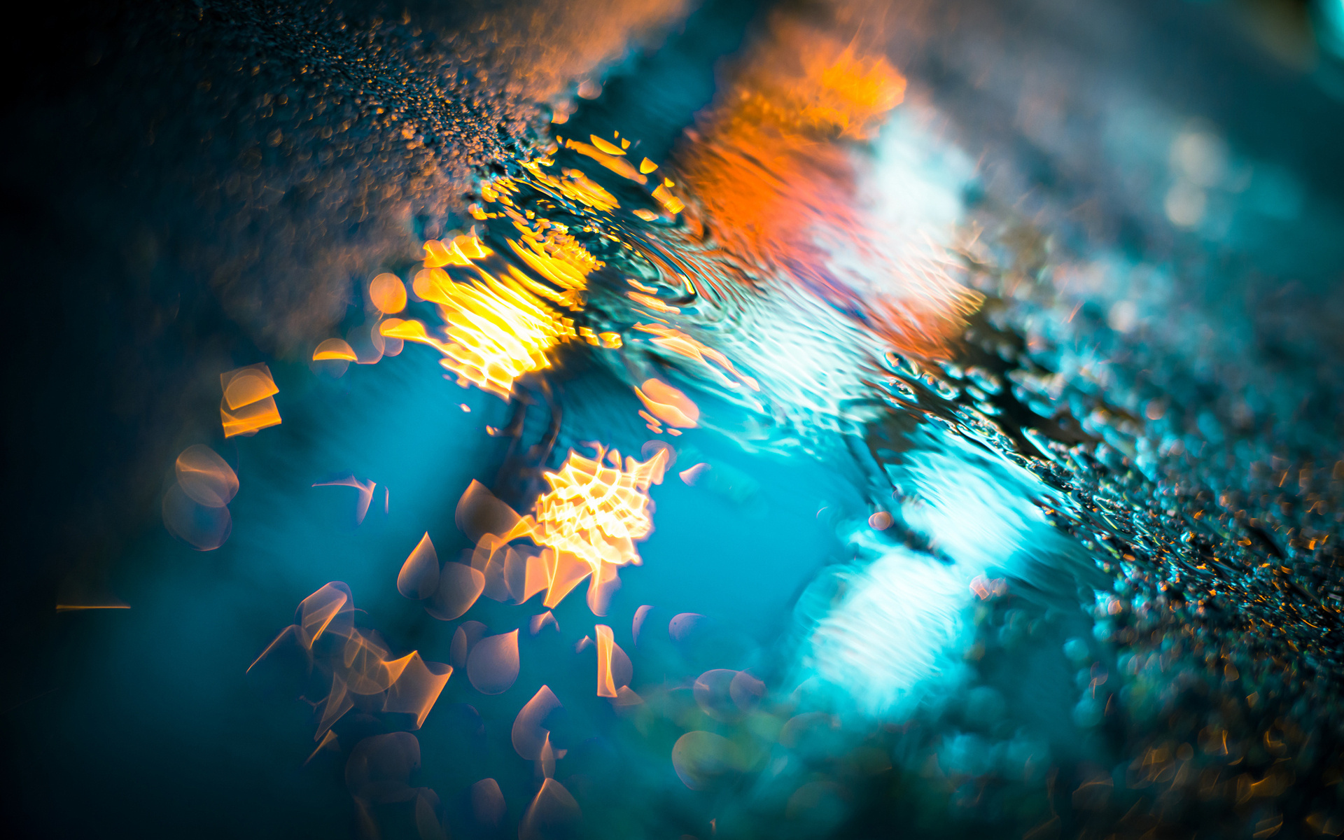 Typecho博客忘记后台登录密码解决办法