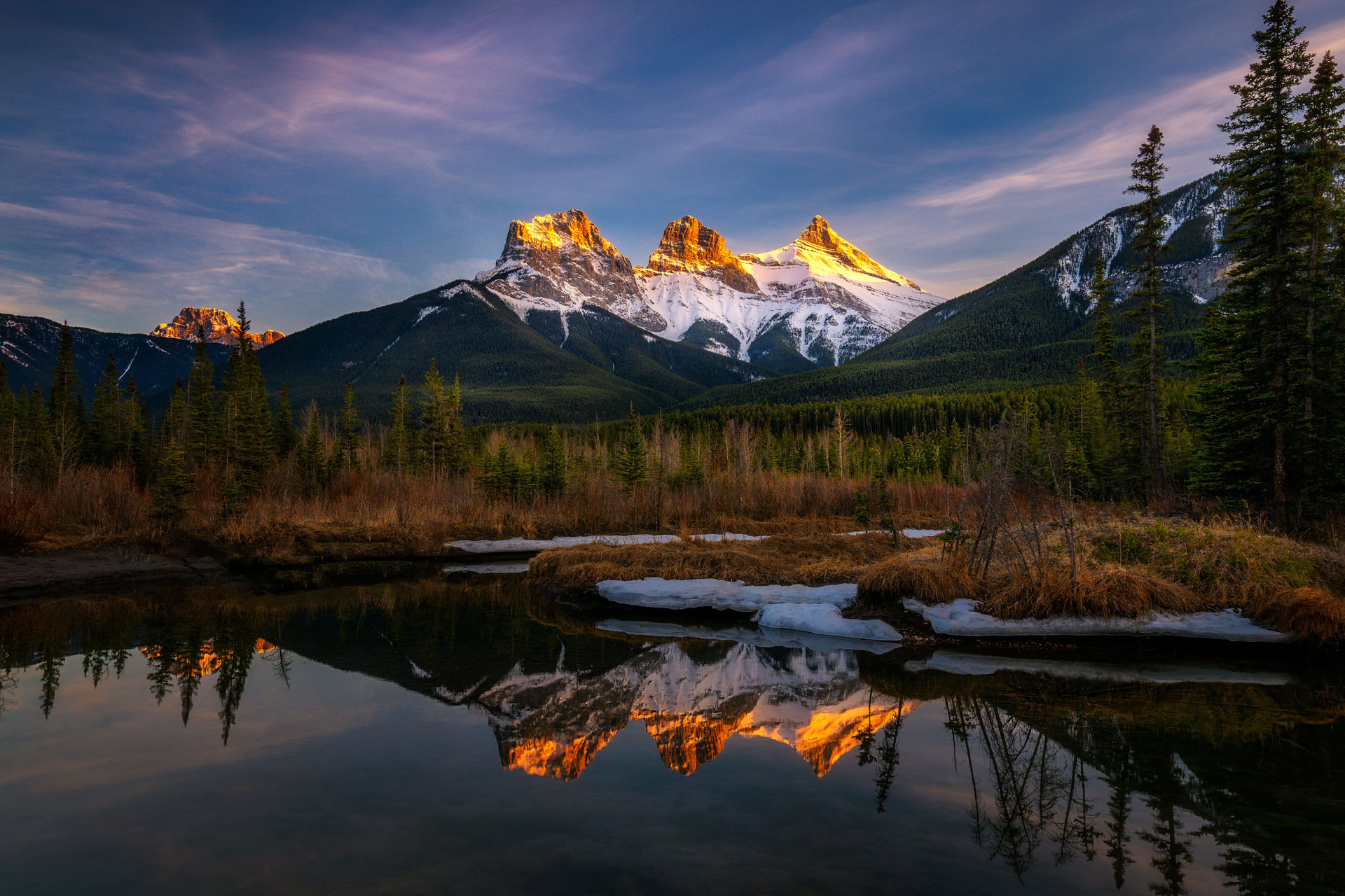 目前为止看过的漫画
