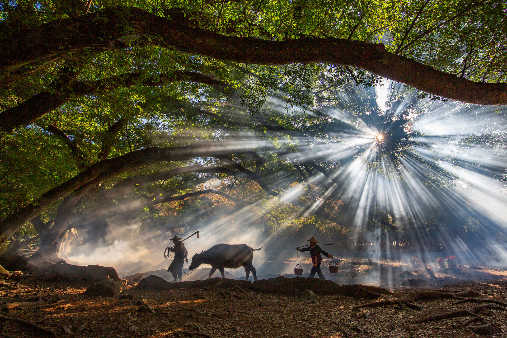 XC主题侧边栏加个联系信息 个人主页地址类