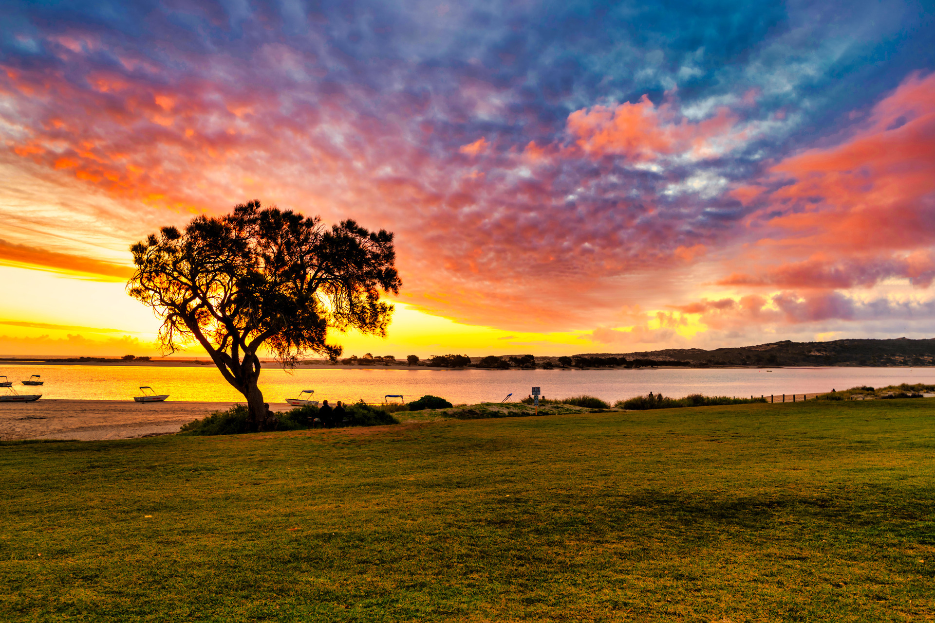 爱奇艺会员卡赠送