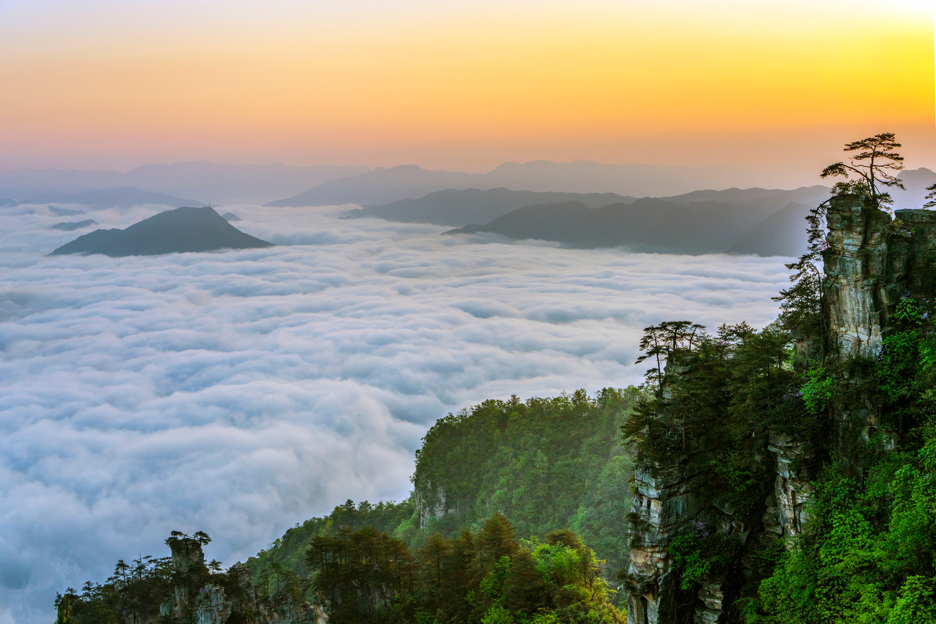 目前为止看过的漫画