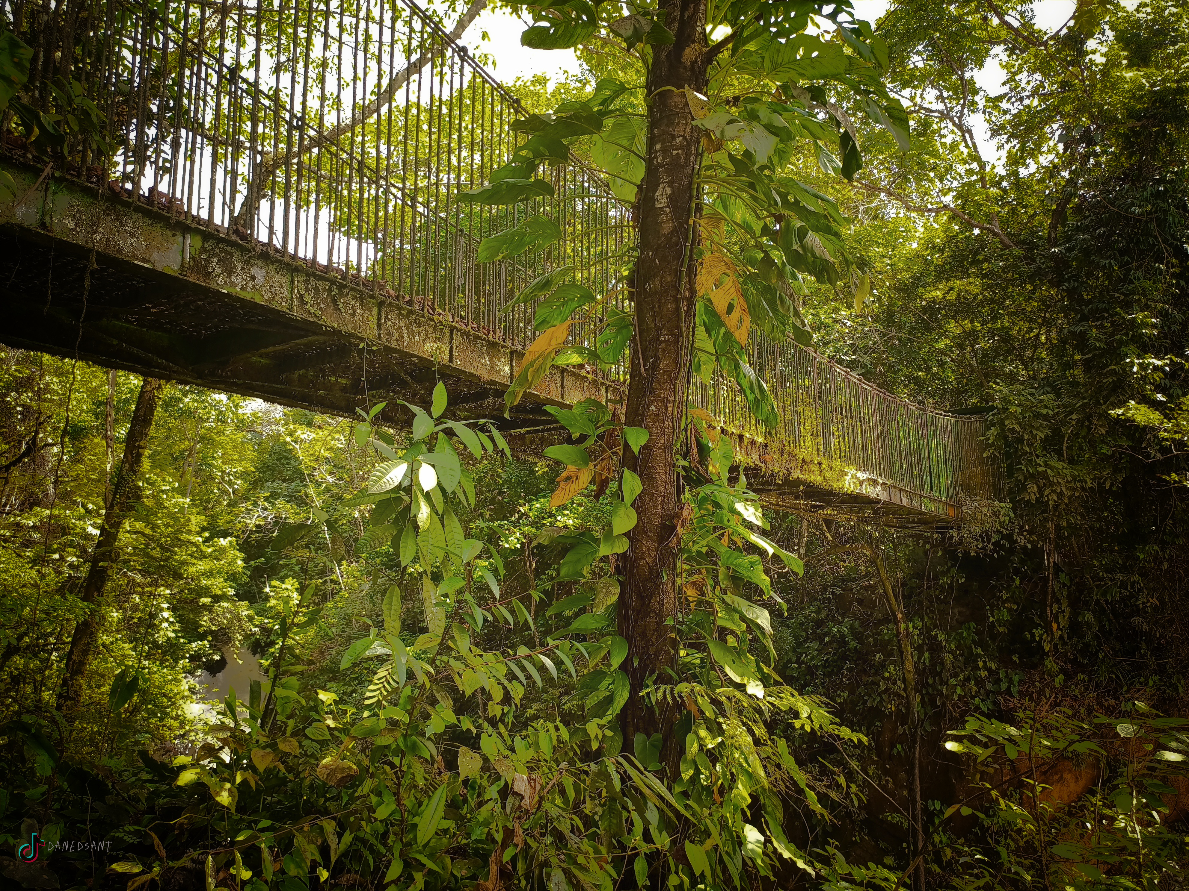 目前为止看过的漫画