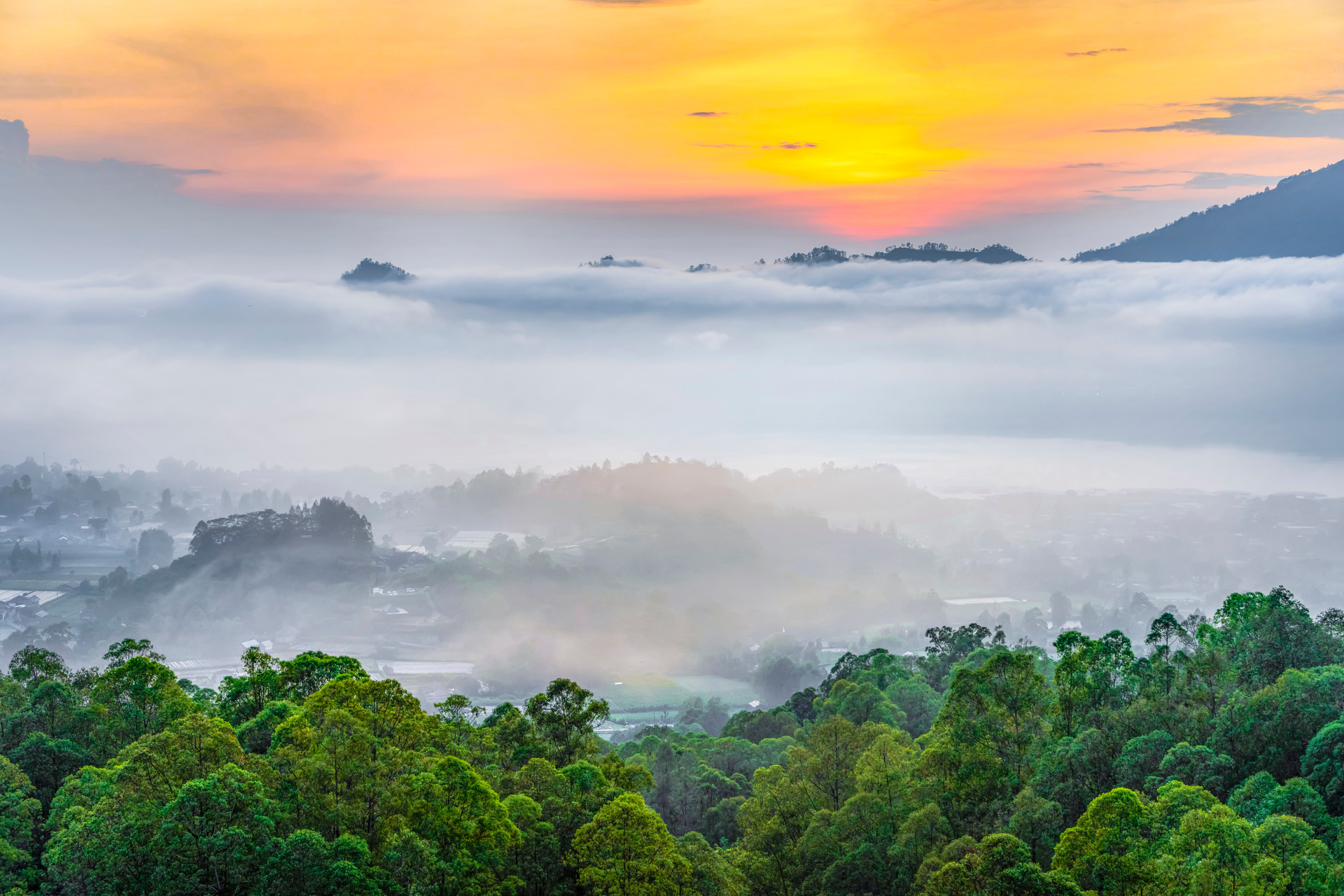 Typecho博客忘记后台登录密码解决办法