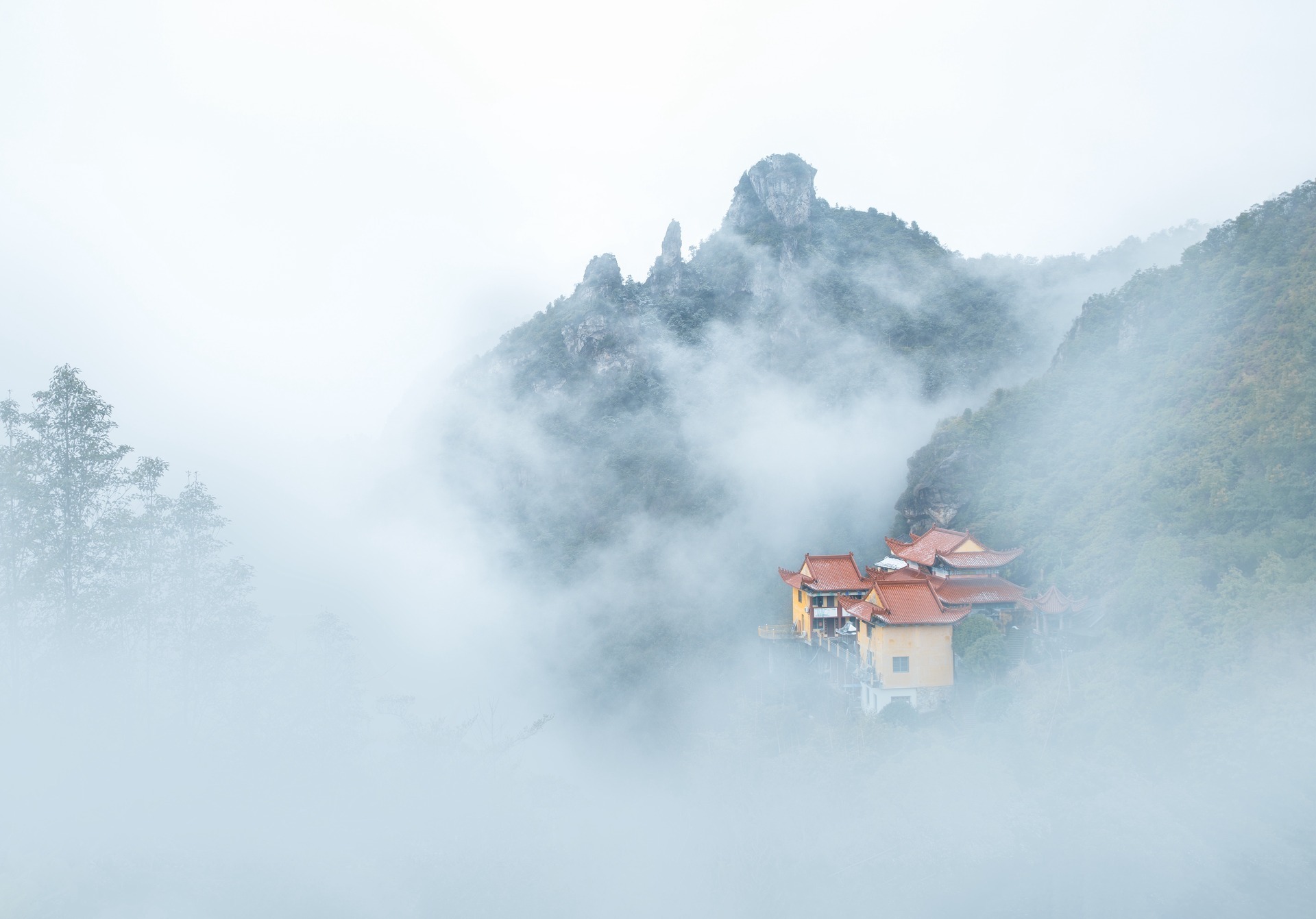 一个带后台的引导页，首页自带樱花飘落！超级酷炫。