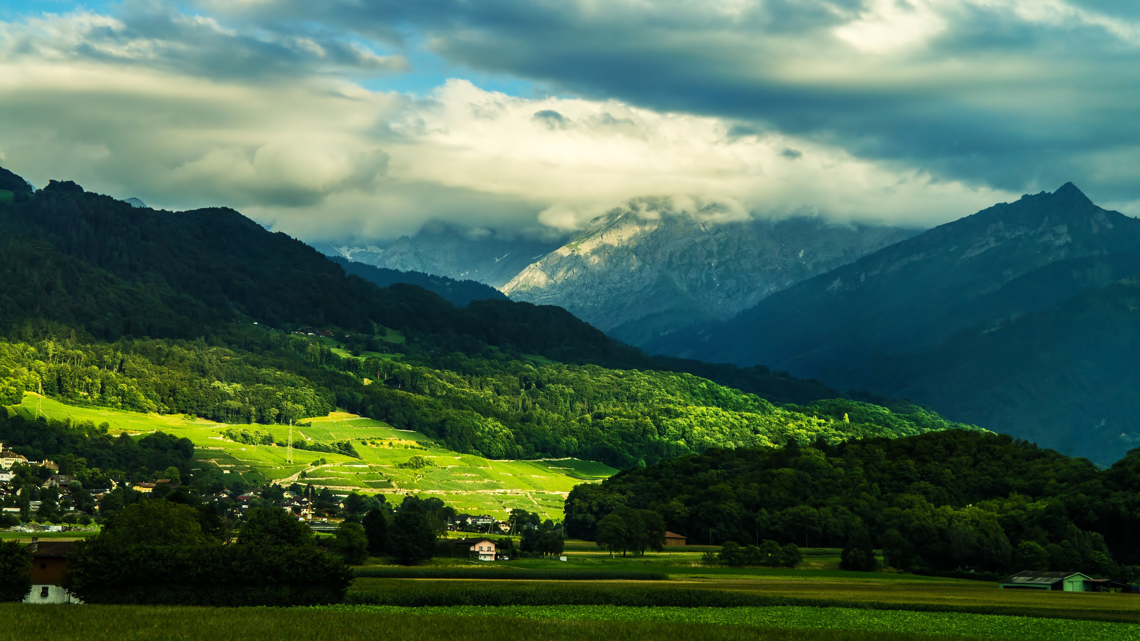 自适应个人引导页