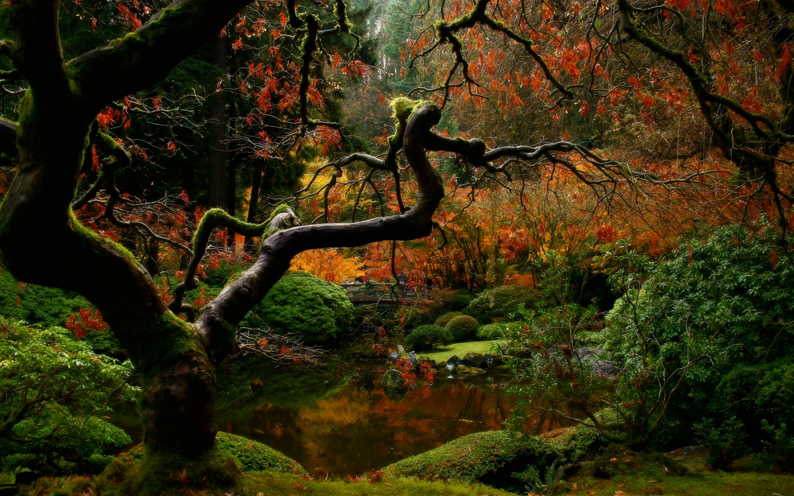 我用隐晦的表达暗恋的方式