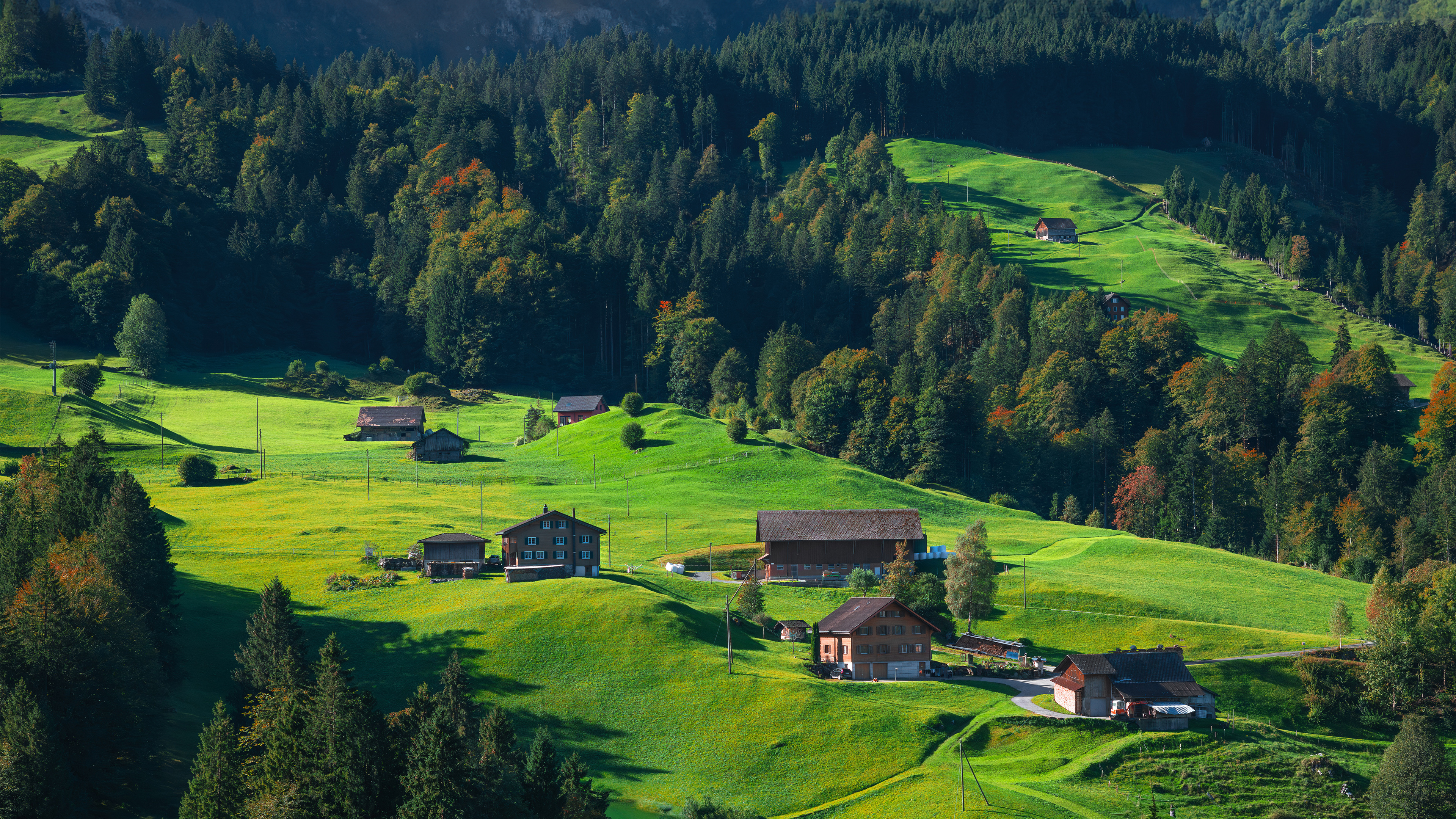我用隐晦的表达暗恋的方式