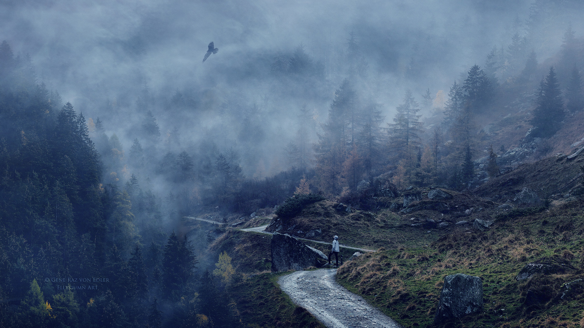 关于本站同款统计