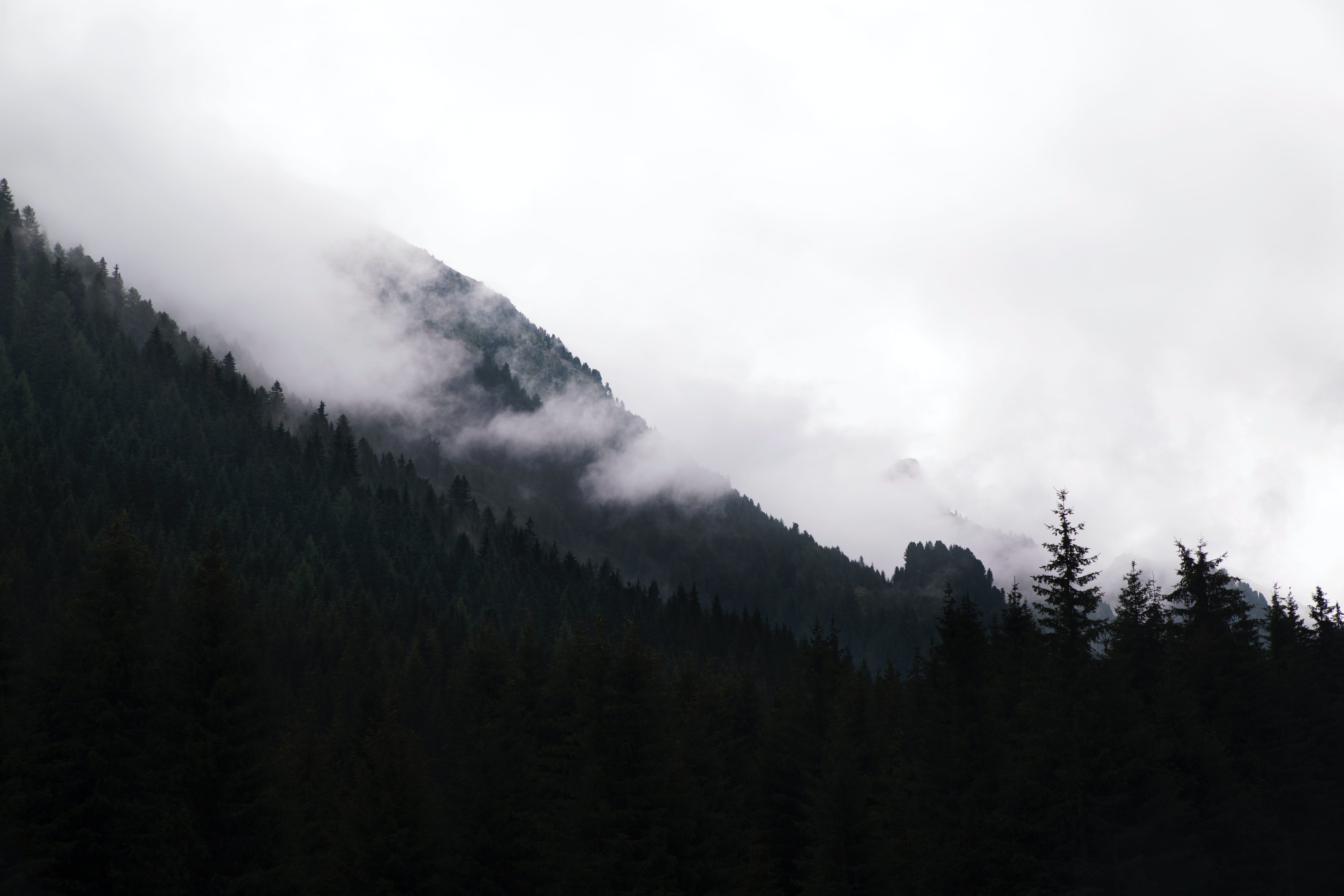 爱奇艺会员卡赠送