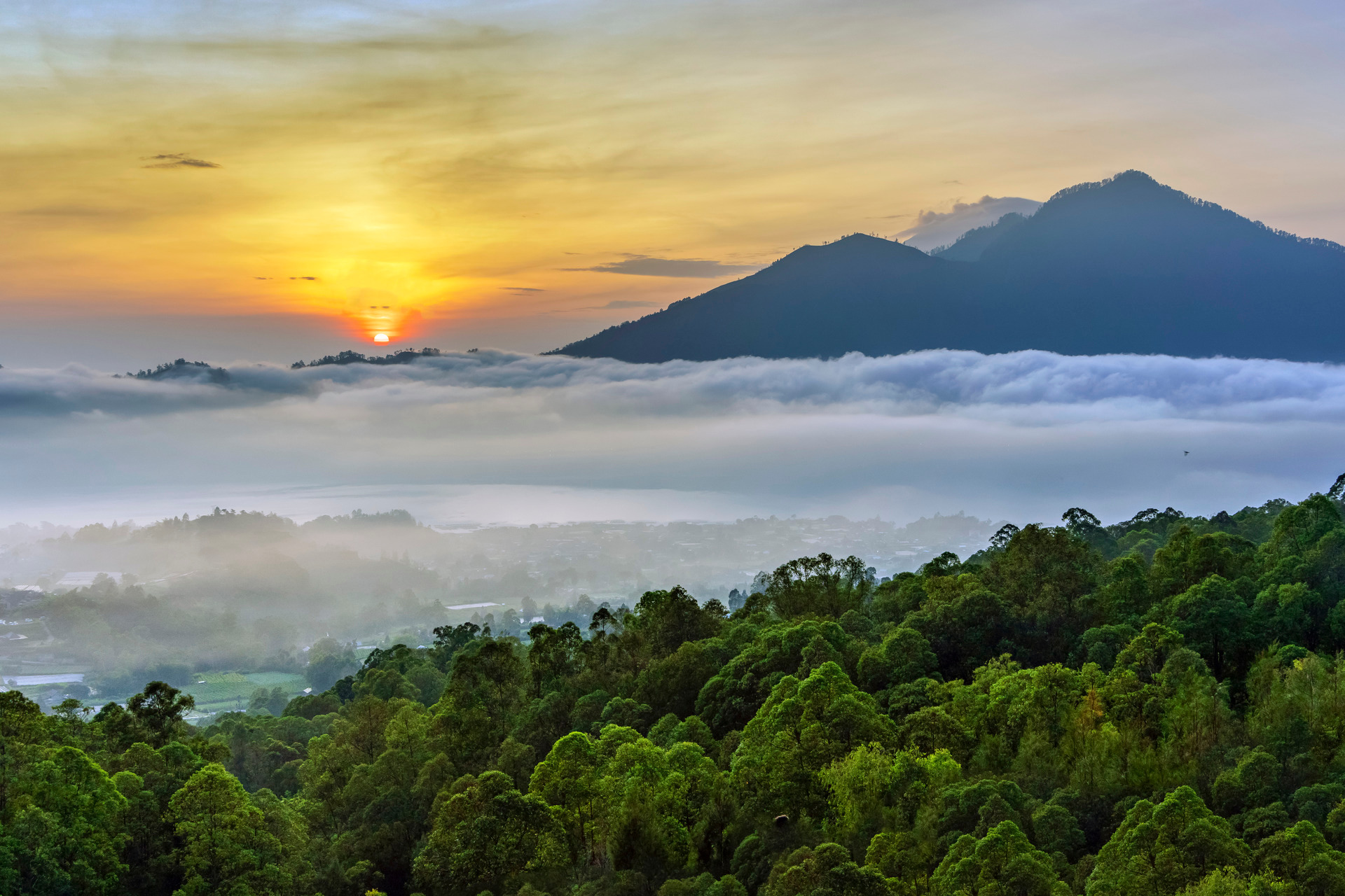 目前为止看过的漫画