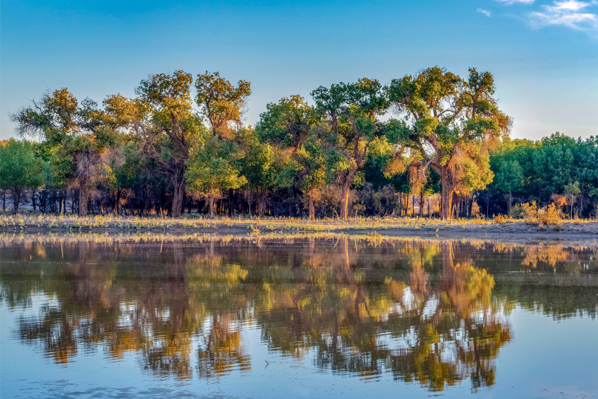 波风水门个人秀
