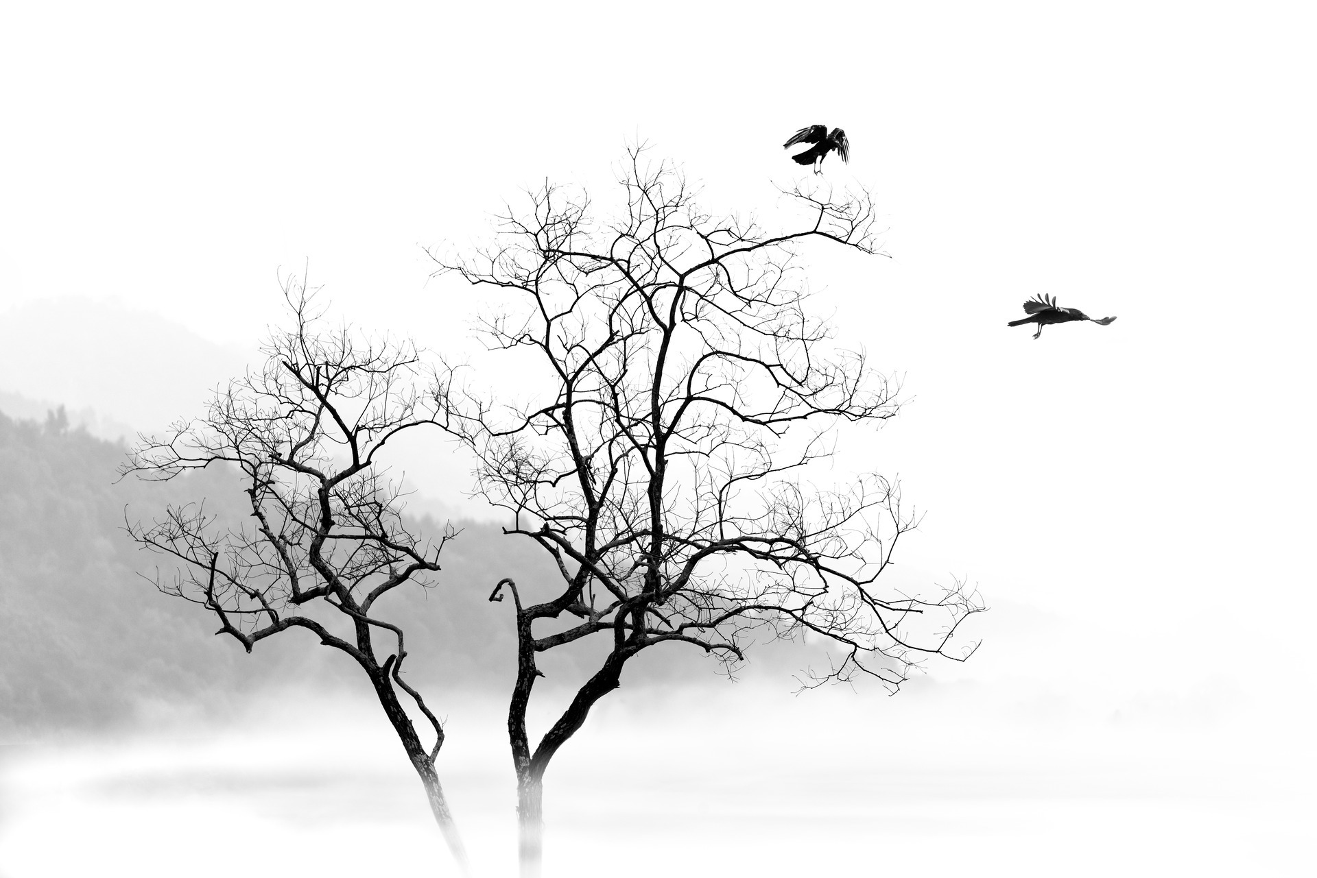 XC主题侧边栏加个联系信息 个人主页地址类