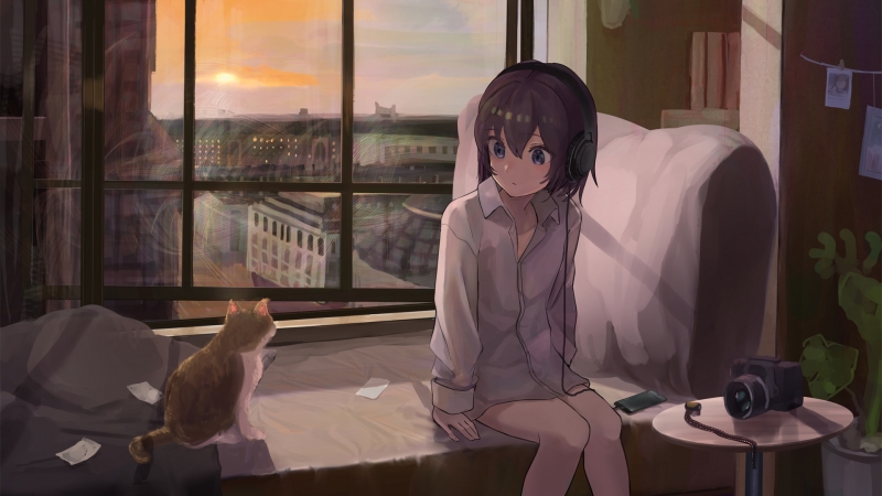 使用开源音乐播放器